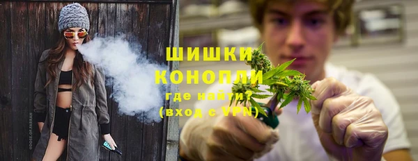 МДПВ Заводоуковск
