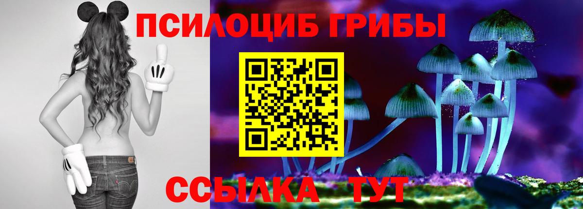 Кирово-Чепецк  Псилоцибиновые грибы мухоморы  цены   Вход с VPN 