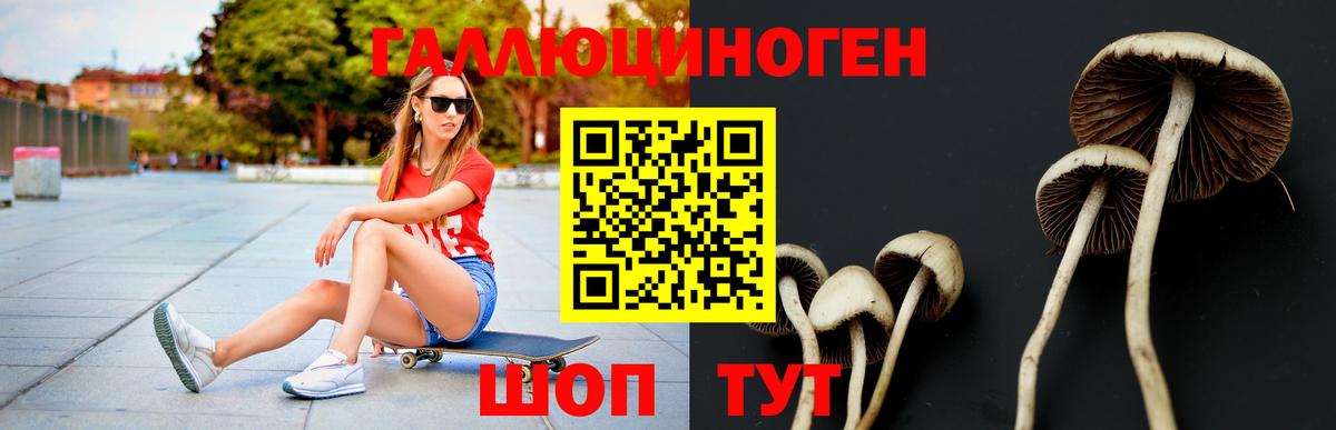 Псилоцибиновые грибы мицелий Кирово-Чепецк
